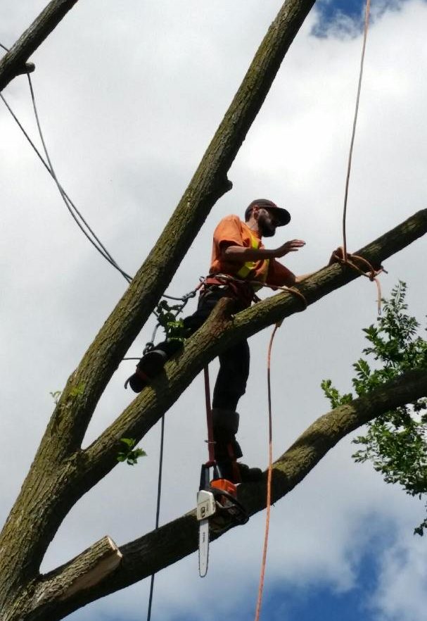 joshua tree contract services